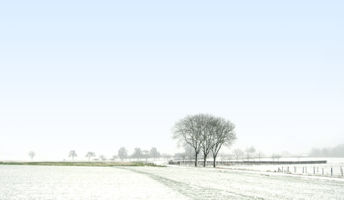 Sneeuw weiland